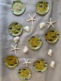 Vintage Seahorse Coaster Set with Holder, Made in Japan