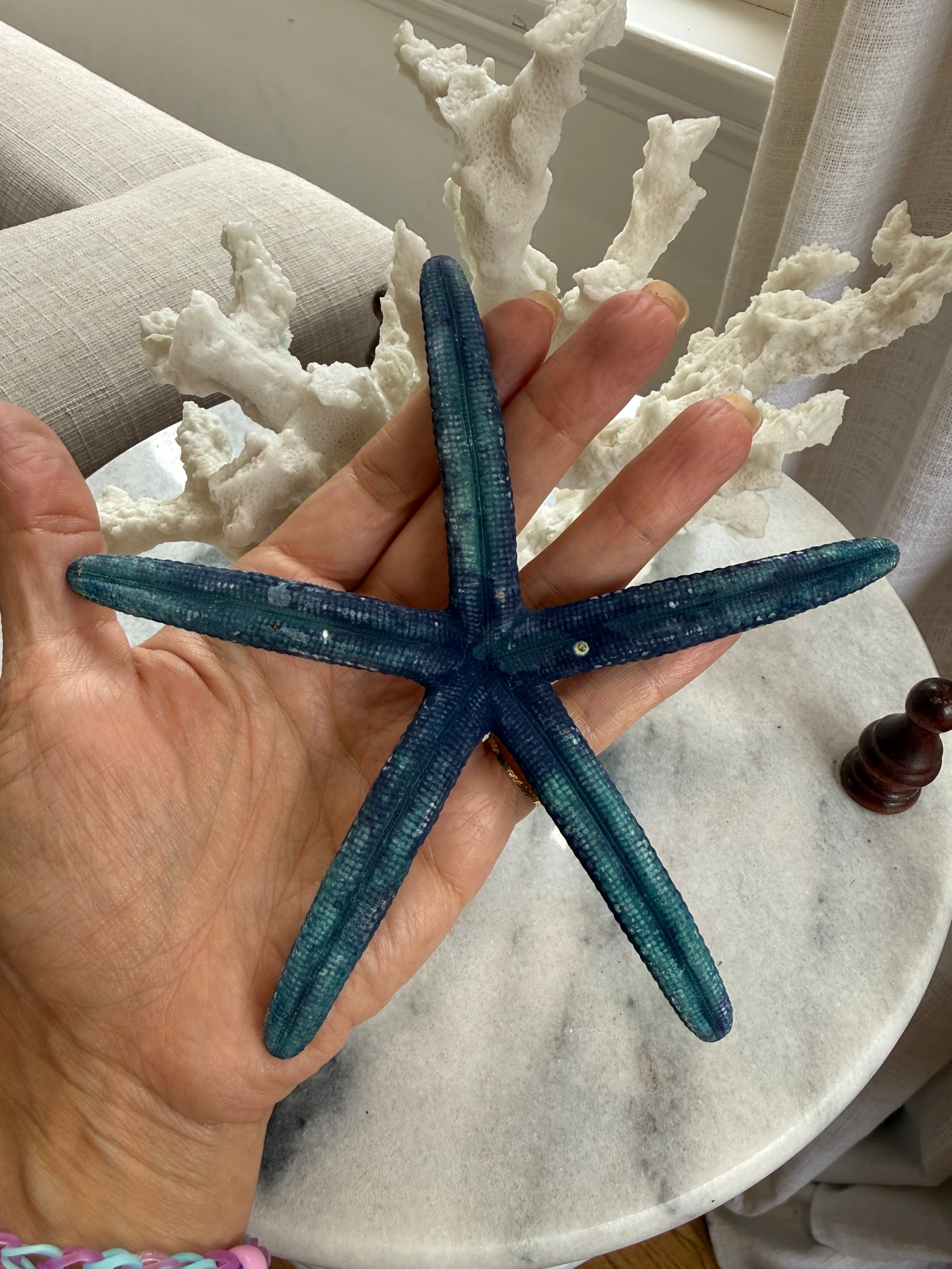 Vintage Estate-Sourced Blue Natural Starfish
