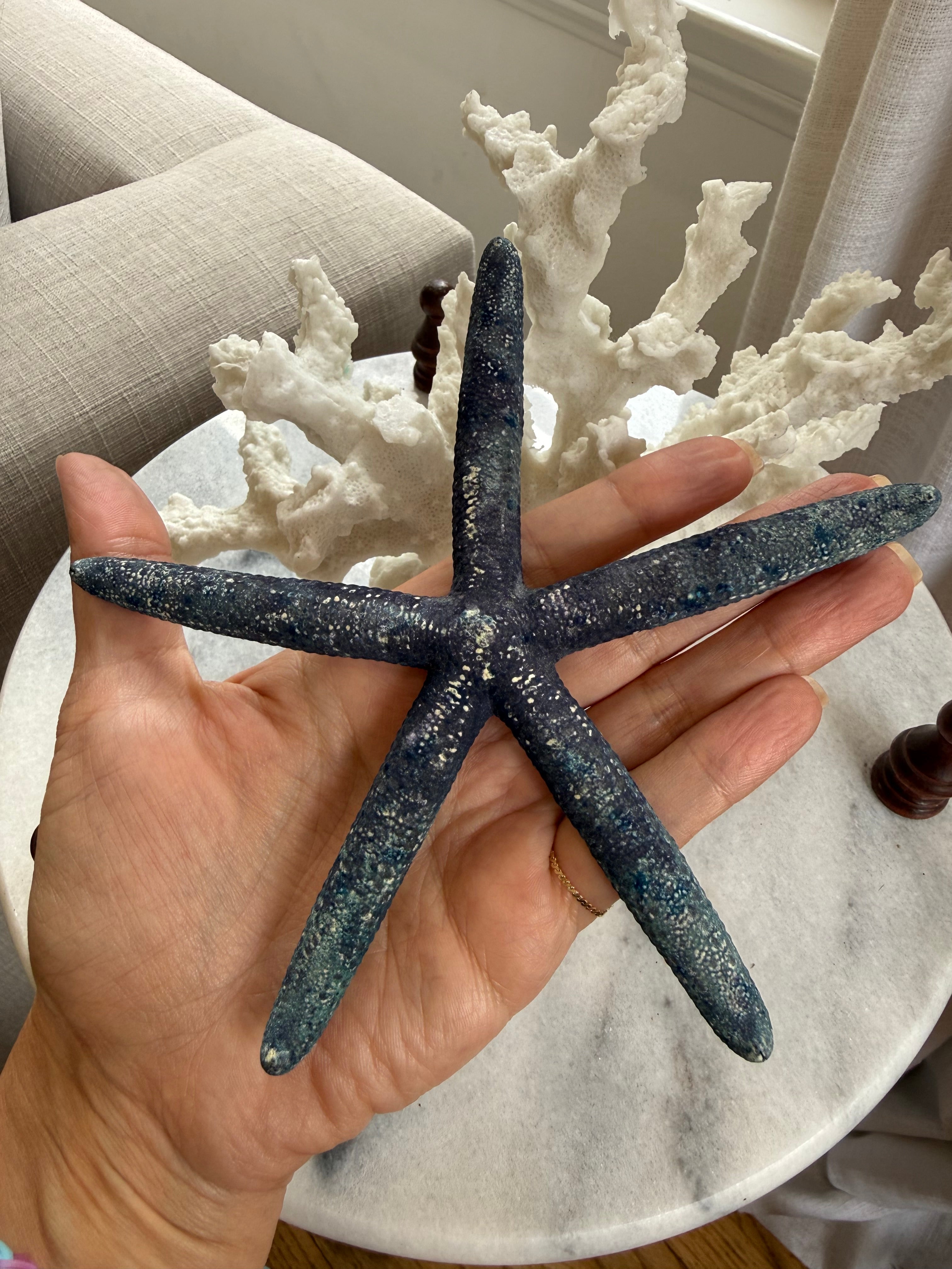Vintage Estate-Sourced Blue Natural Starfish