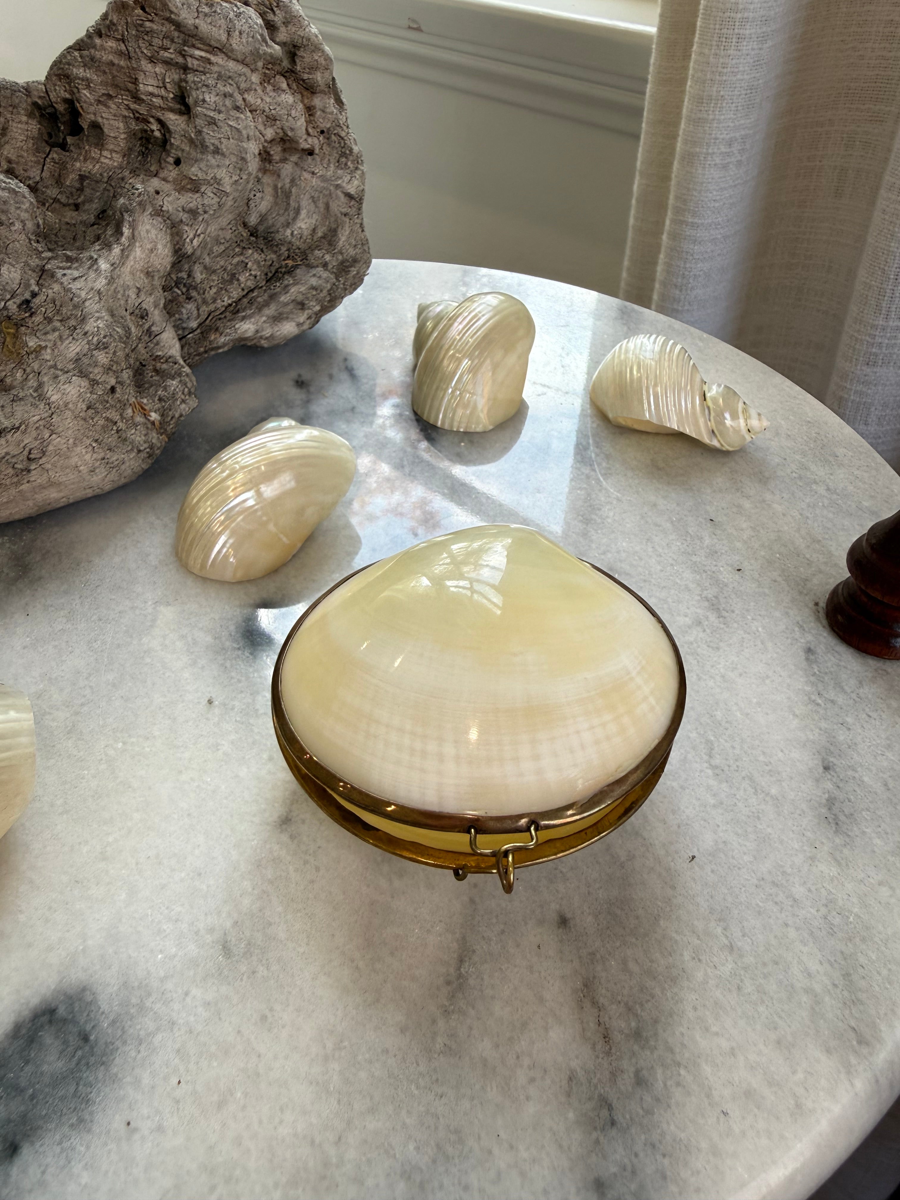 Vintage Natural Shell & Brass Trinket Box